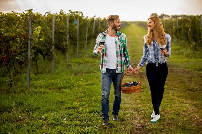 8 Hour Ontario Wine Tour with Cheese and Charcuterie - Private door-to-door transport around Niagara’s wine country