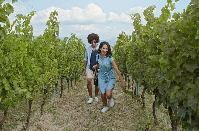 8 Hour Ontario Wine Tour with Cheese and Charcuterie - Niagara-on-the-Lake free time: shop, snack, or add a stop