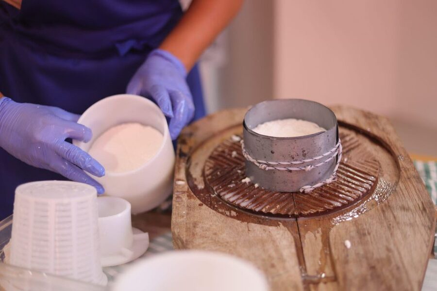 Aguïmes : Cheese Making Workshop at la Jaira de Ana - Sanitary, Hands-On Work: What the Workshop Feels Like