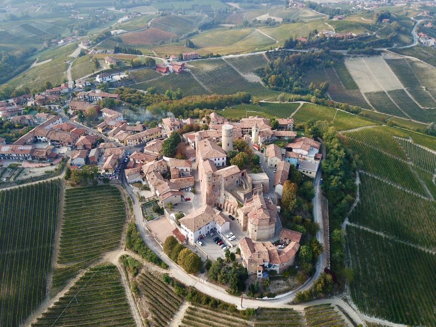 Alba: Truffle Hunting with Cheese, Truffle, & Wine Tastings - What the Hunt Feels Like in Practice (And What You Can Realistically Expect)