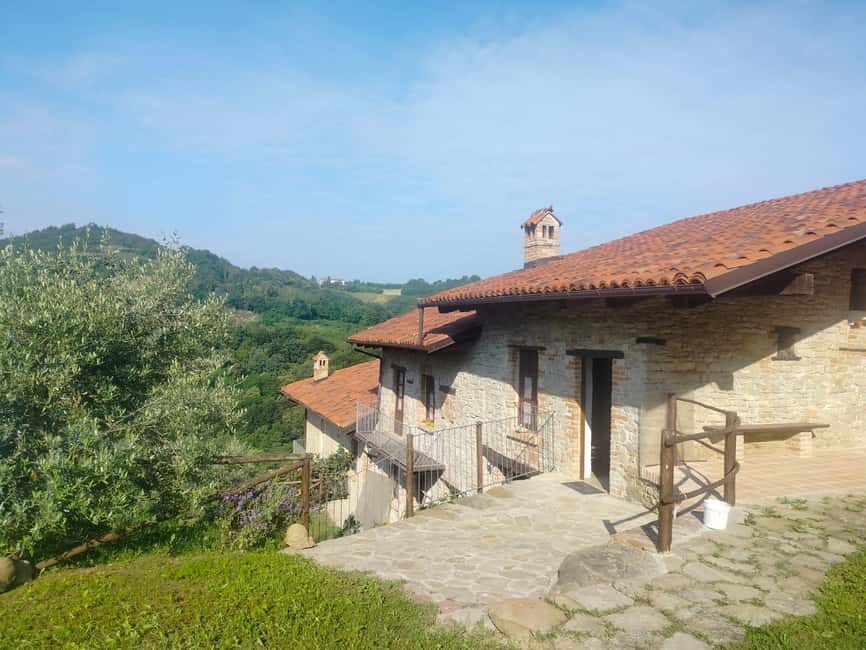 Alba: Truffle Hunting with Cheese, Truffle, & Wine Tastings - Who Should Book This (And Who Might Not Love It)