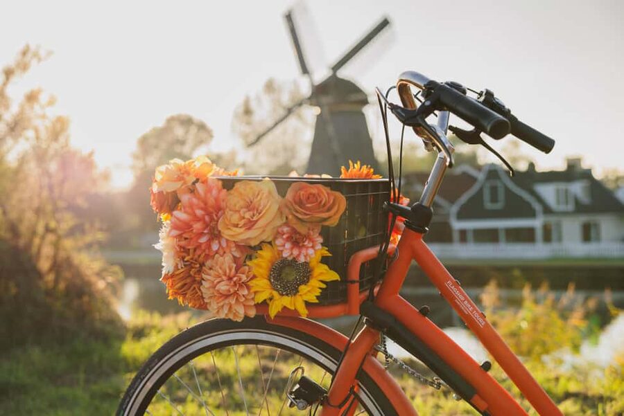 Amsterdam: Cheese, Windmill & Countryside Bike Tour - Farm Visit: Cows, Sheep, Lambs, and On-Site Cheese