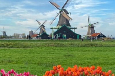 Amsterdam: Experience Edam, a Cheese Tasting, and a Windmill - Edam cheese village: what you’ll actually do and what to expect