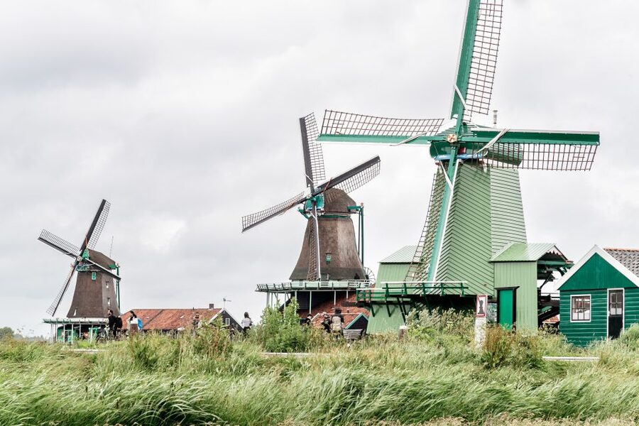 Amsterdam: Guided Zaanse Schans, Windmills & Cheese Tour - Price and Value: Why $22 Can Feel Like a Bargain