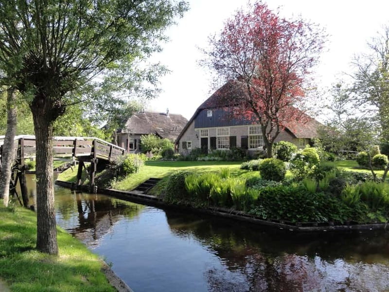 Amsterdam: Live GuideD Giethoorn Boat Tour & Cheese Platter - Coach Comfort, Pickup Points, and the Real Logistics