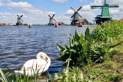 Amsterdam private tour to windmills, cheese farm and villages - Value Check: Is $362.95 for a 7-Hour Private Tour Worth It?