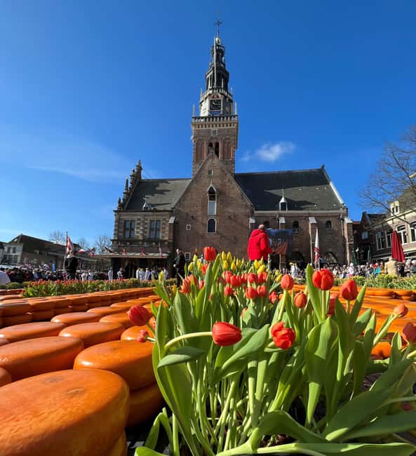 Amsterdam: Traditional Cheese Market Tour to Alkmaar - Key points to know before you go