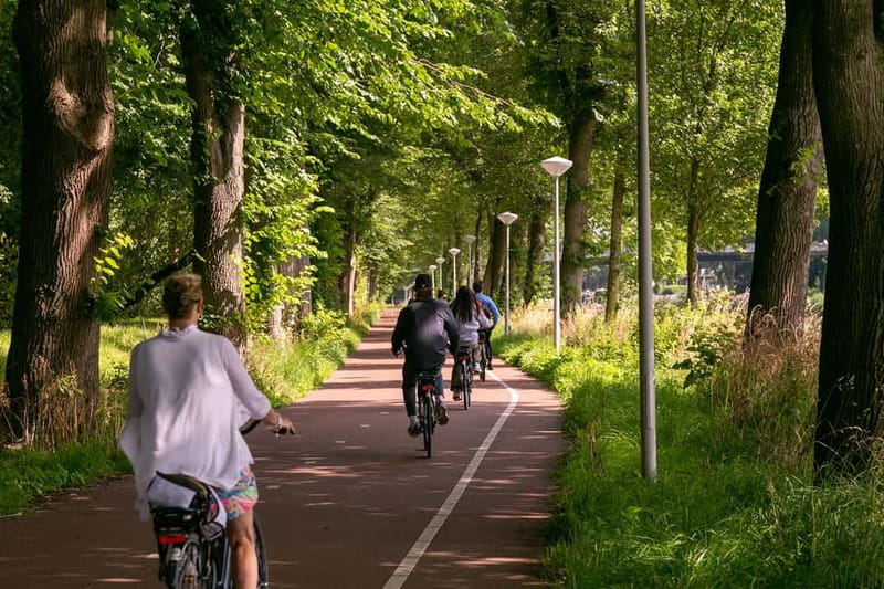 Amsterdam: Windmill, Cheese, and Countryside E-Bike Tour - Key highlights to look for