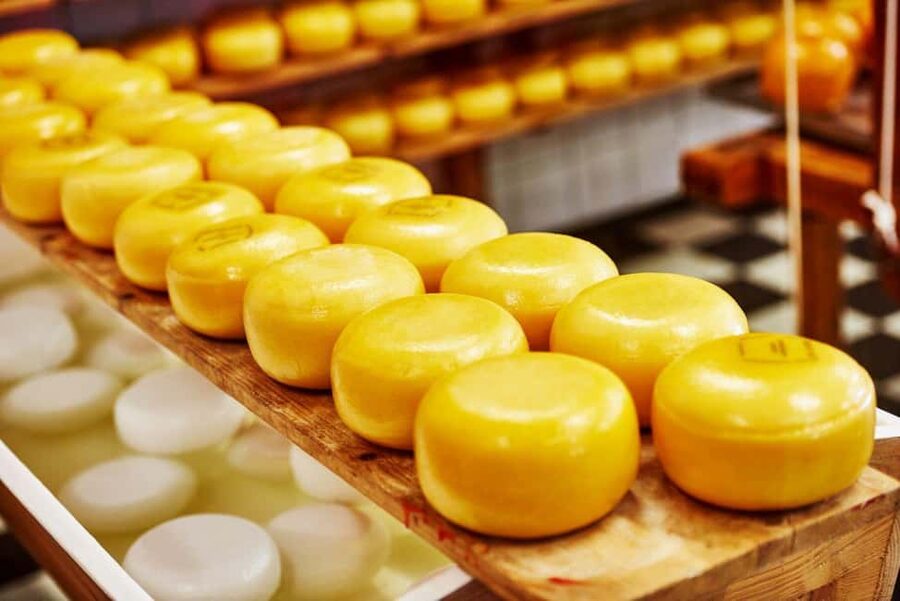 Amsterdam: Zaanse Schans, Cheese Tasting & Volendam Tour - Zaanse Schans windmill village: wander time is the point