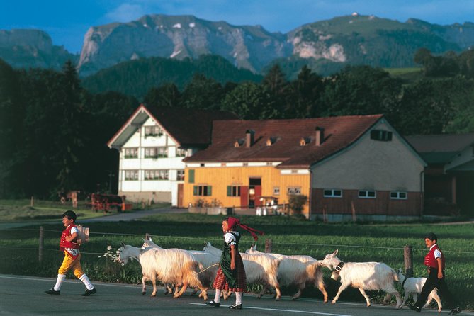 Appenzell Alps Day Trip from Zurich – Farm Life & Cheese Tasting - From Zurich to Appenzellerland: the scenic drive and quick photo breaks