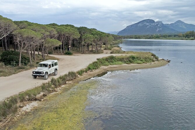 Archeology, visit to a vineyard and wine and pecorino cheese tasting - A 5pm off-road loop from Orosei: sea views, nuraghe, and tastings