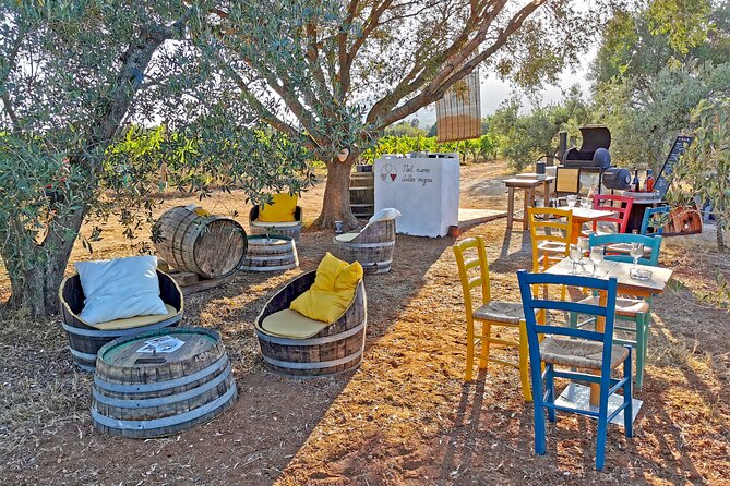 Archeology, visit to a vineyard and wine and pecorino cheese tasting - Price and value: what $120 buys in 3 to 4 hours