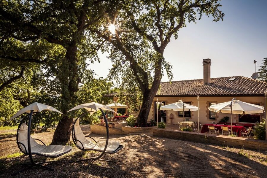 Assisi: Organic Wine and Cheese Tasting - TILI 21 Cantina Bio: organic wine tasting in Assisi’s calm countryside
