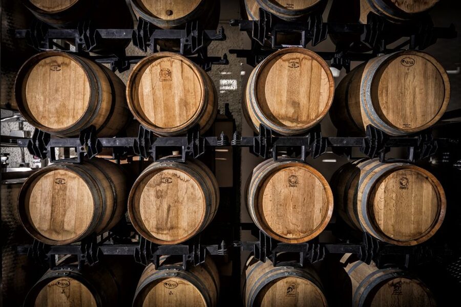 Assisi: Organic Wine and Cheese Tasting - Who should book this organic wine and cheese tasting