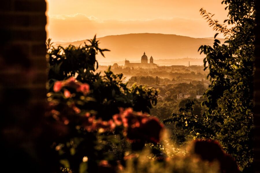 Assisi: Organic Wine and Cheese Tasting - Quick tips before you go to Assisi’s organic winery