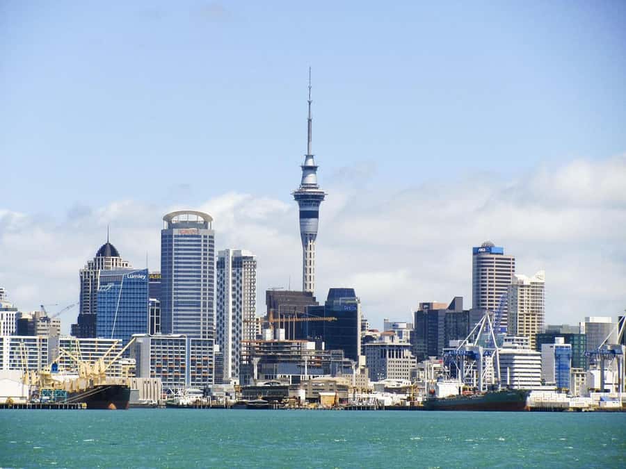 Auckland: Scenic Wine and Cheese Harbour Cruise - Key Highlights You’ll Actually Notice