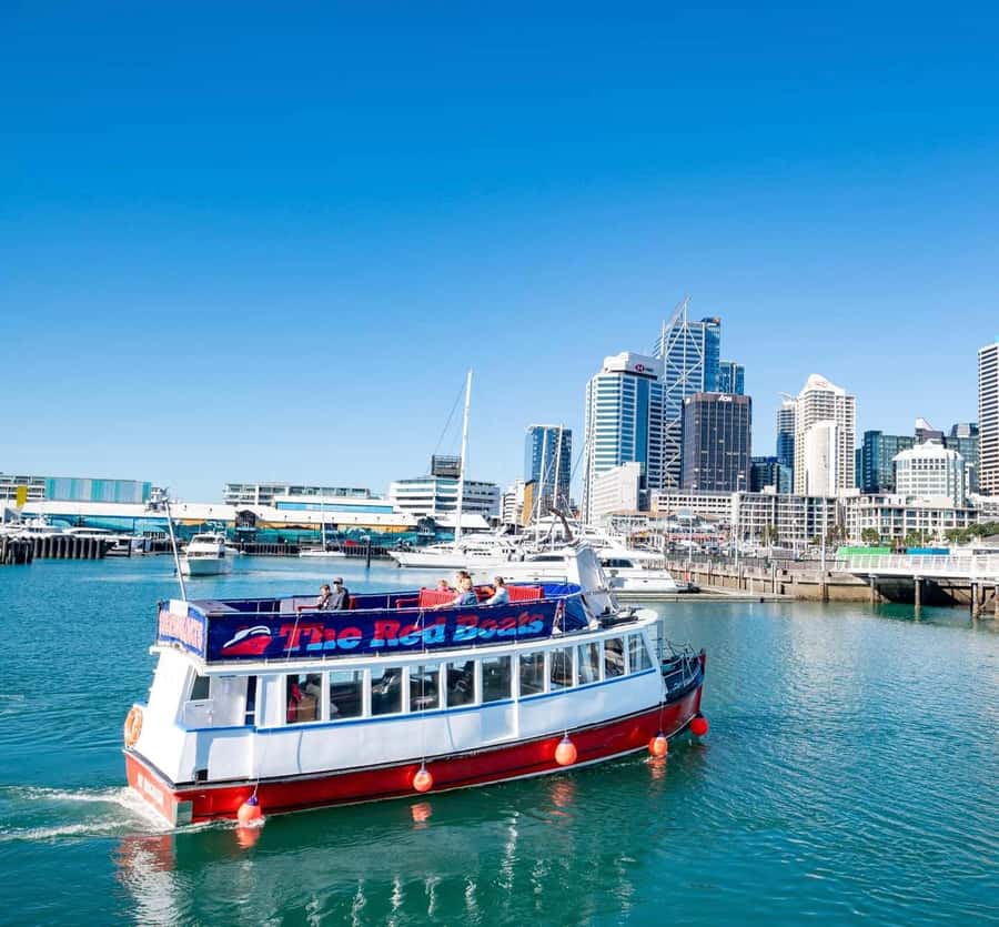 Auckland: Scenic Wine and Cheese Harbour Cruise - Comfortable Pacing for Couples, Friends, and First-Time Aucklanders