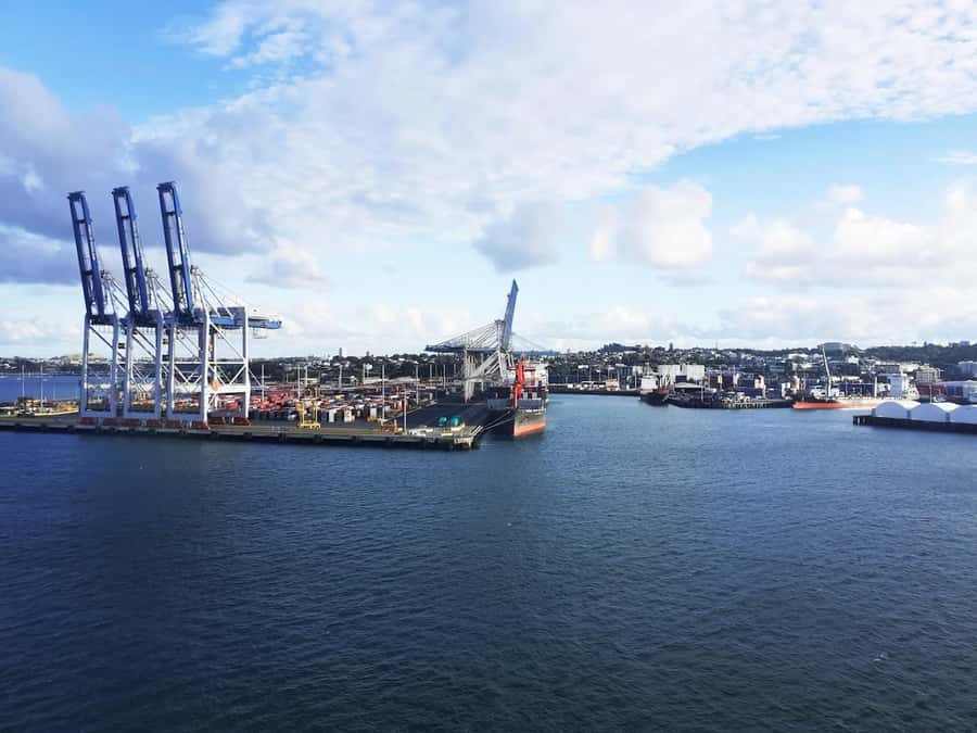 Auckland: Scenic Wine and Cheese Harbour Cruise - Wheelchair Accessible, With a Simple On-Board Rhythm