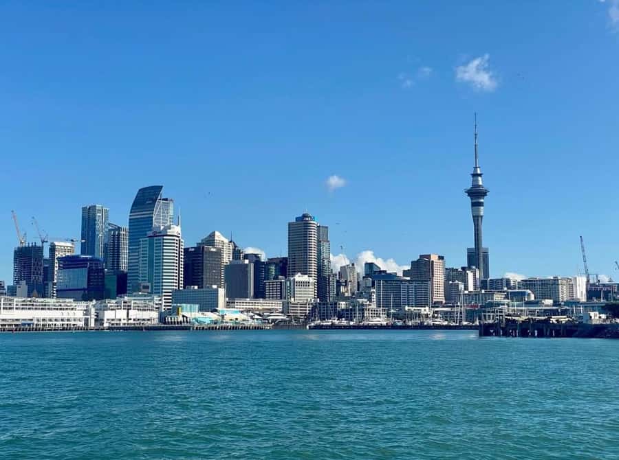 Auckland: Scenic Wine and Cheese Harbour Cruise - Getting There: The Westhaven Marina Starting Point