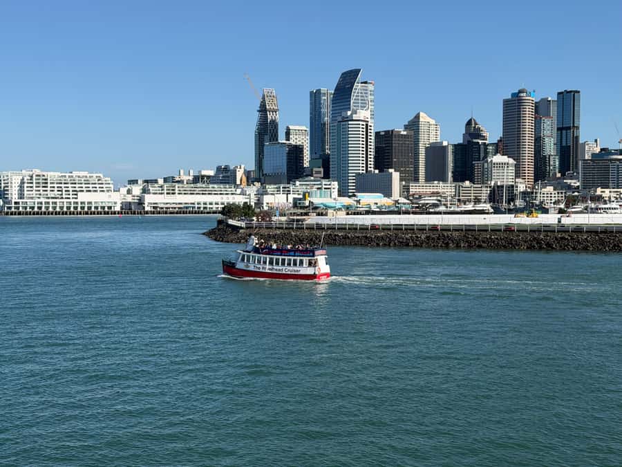 Auckland: Scenic Wine and Cheese Harbour Cruise - What You Eat and Drink: Cheese, Charcuterie, Wine or Beer