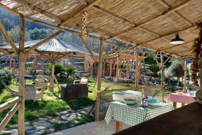 Authentic Farm Tour with Pizza, Cheese, Wine & Limoncello Tasting - Vineyard wine tasting: where your grape story starts