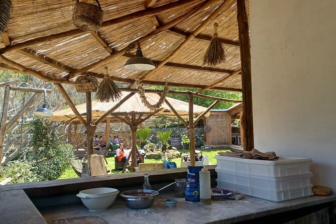 Authentic Farm Tour with Pizza, Cheese, Wine & Limoncello Tasting - Value check: what $97.95 buys you in the real world
