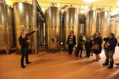 Award-Winning Hunter Valley Wine & Cheese Tour from Sydney - The Sydney Depart: Pickup, Coach Comfort, and the Road Stories