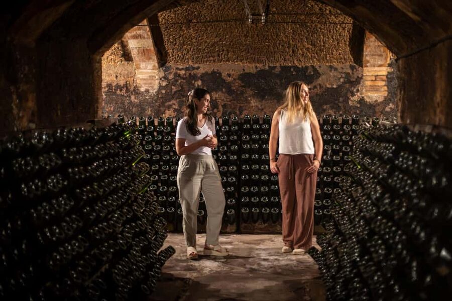 Barcelona: Cavas Hill - Winery Tour & Cheese Tasting - Cavas Hill: a cava tasting that’s more than just a pour