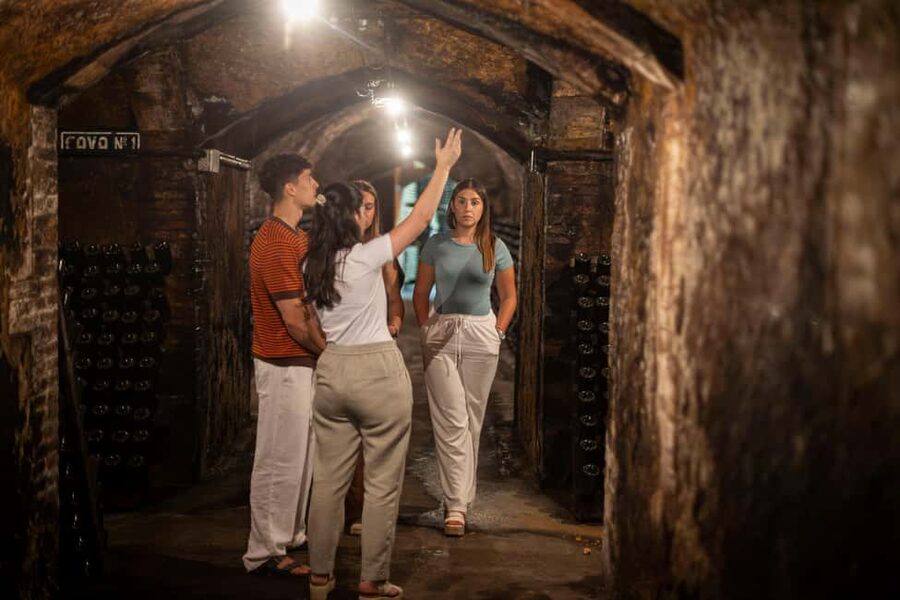 Barcelona: Cavas Hill - Winery Tour & Cheese Tasting - Early-20th-century cellars: where the tradition actually lives