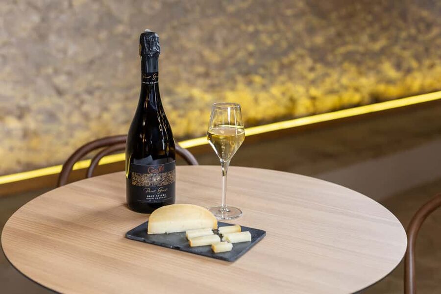 Barcelona: Cavas Hill - Winery Tour & Cheese Tasting - Who this tour suits best (and who should skip it)