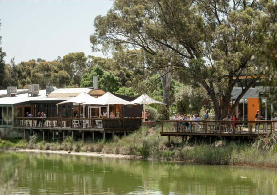 Barossa Valley: Maggie Beer's Wine Tasting & Cheese Platter - Maggie Beers Farmshop: The Setting That Makes the Tasting Feel Easy