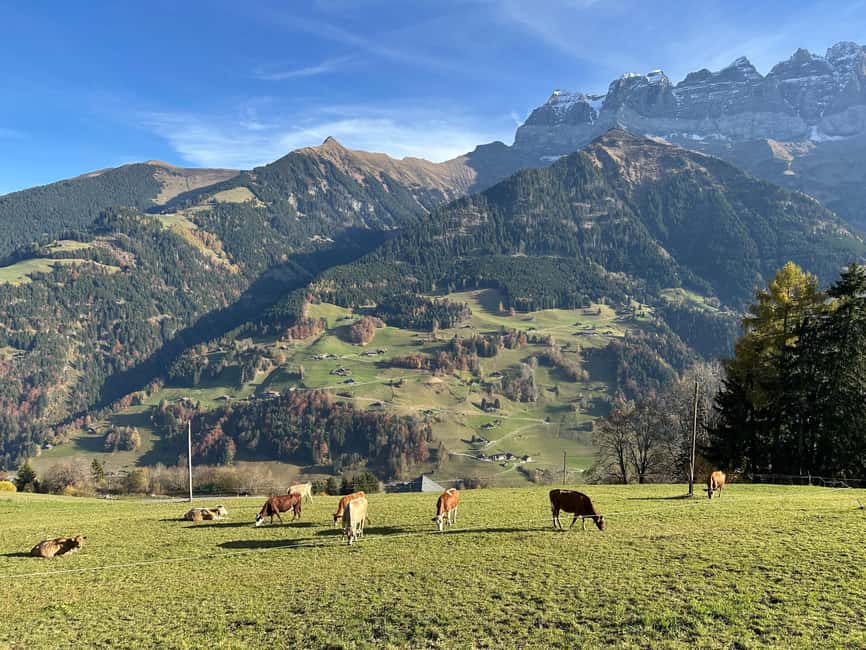 Basel: Local Cheese Tasting Tour with a Cheese Sommelier - Why Swiss Cheese in Basel Is Worth 35–45 Minutes