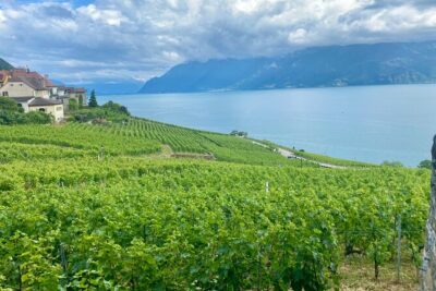 Bern Private Tour - Gruyères , Cheese, and Lavaux's UNESCO Wine - Start in Bern: hotel meet-and-greet plus rail planning done for you