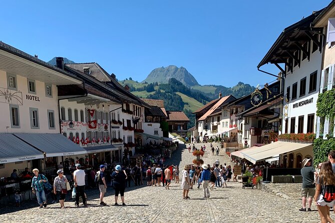 Bern Private Tour - Gruyères , Cheese, and Lavaux's UNESCO Wine - Epesses and Lavaux UNESCO vineyards: an easy climb with built-in viewpoints