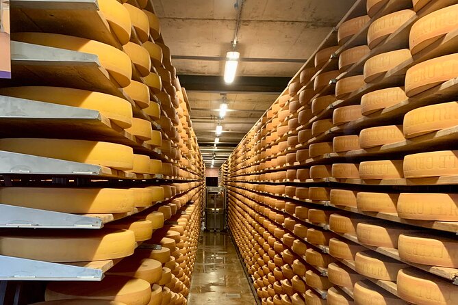 Bern Private Tour - Gruyères , Cheese, and Lavaux's UNESCO Wine - Clos de la Republique: wine tasting with the owner, not just a sample counter