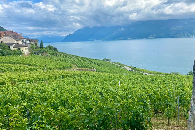 Bern Private Tour - Gruyères , Cheese, and Lavaux's UNESCO Wine - Start in Bern: hotel meet-and-greet plus rail planning done for you
