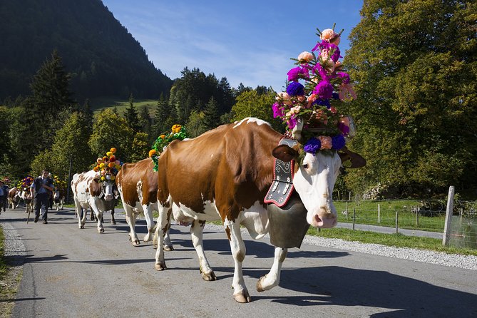 Berne the Capital and Cheese paradise Emmental (Private Tour) - The Day in Motion: Transfers, Timing, and How to Enjoy the Whole 9 Hours