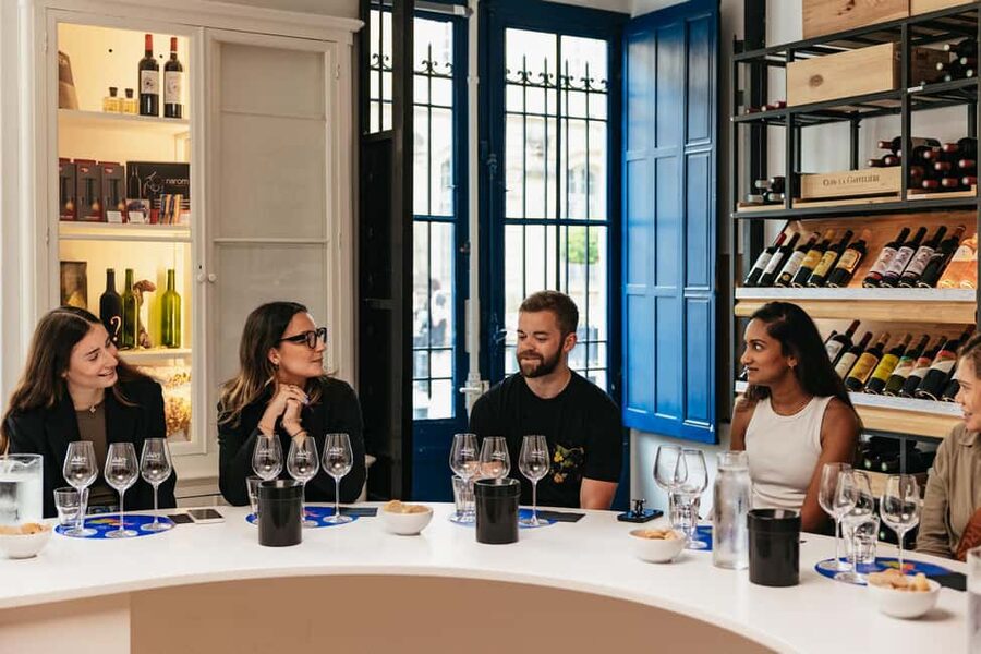 Bordeaux: Wine Masterclass with Cheese and Charcuterie Board - Bordeaux wine logic in human language: terroir, aging, service