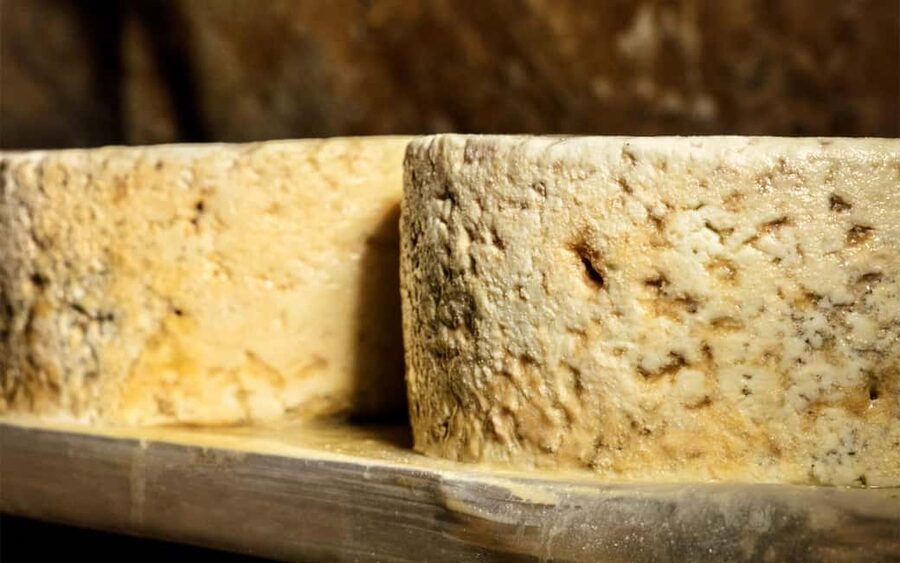 Bulnes: Excursion with funicular and Cabrales cheese cave in the Picos de Europa - Tasting Cabrales with Asturian cider: the classic pairing