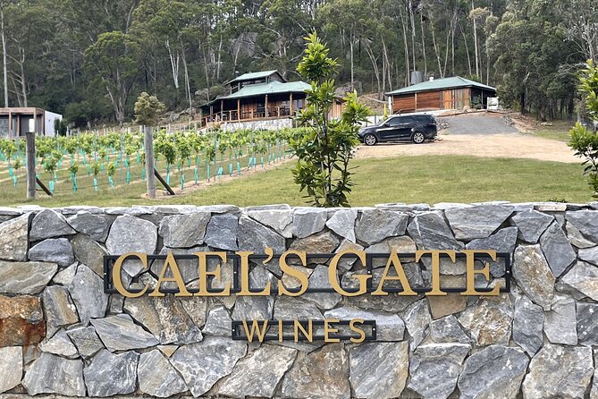 Cael’s Gate Wine and Cheese Tasting in Hunter Valley - Who should book Cael’s Gate (and who might not)