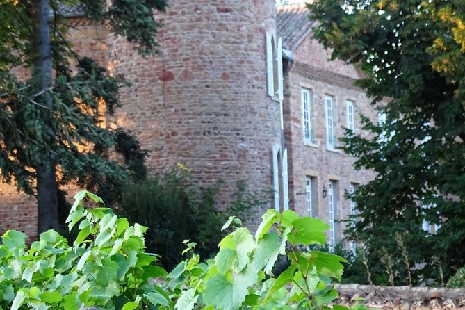 Cheese and Wine Accord Tour at Château de Champ-Renard - The Main Event: 4 Château Wines Paired With 4 Matured Cheeses