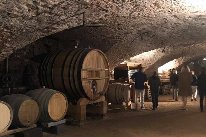 Cheese and Wine Accord Tour at Château de Champ-Renard - Who This Tour Fits Best (and Who Might Want a Different Plan)