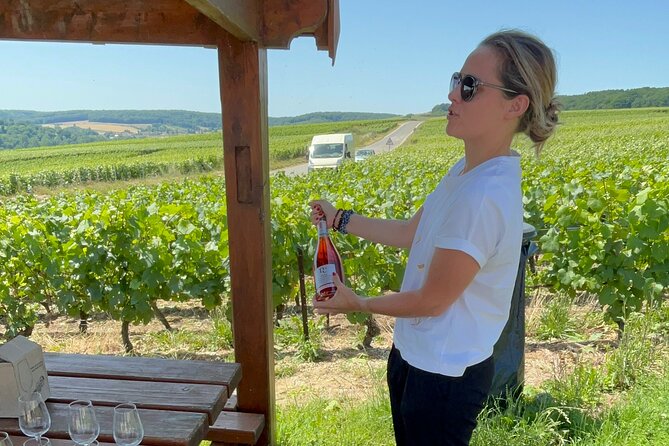 Cheese and Wine Pairing 1-Hour Session in Dijon - Burgundy wine basics you can use next time
