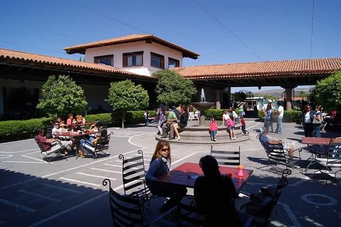 Cheese and Wine Route with 2 Towns, starting from Querétaro - Food and timing: what you’ll need to handle on your own