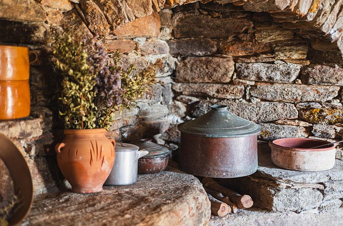 Cheese and Wine Tasting (Guided Tour INCLUDED) - The “farm walk” part: views, nature, and room to breathe