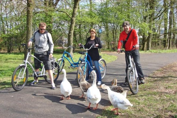 Cheese, Canals & Windmill Countryside E-Bike Tour Amsterdam - Timing, Pace, and Group Size: Why the Tour Feels Manageable