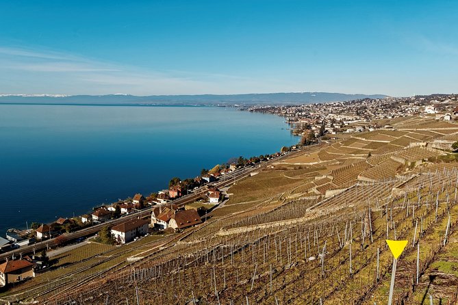 Cheese, Chocolate and Wine in the Bern Region from Luzern - La Gruyère: cheese production, tasting, and a medieval setting close by