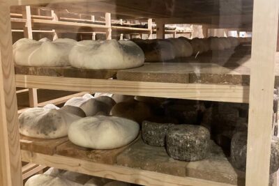 Cheese Factory Workshop with Wine Tasting in Requena, Valencia - Cheese Workshop: create your own cheese in a family operation