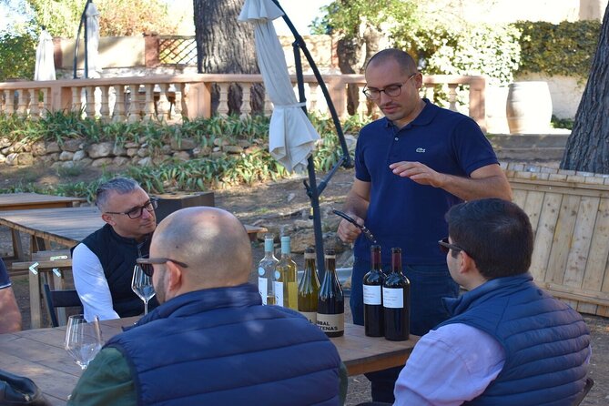 Cheese Factory Workshop with Wine Tasting in Requena, Valencia - Practical tips so the day stays fun