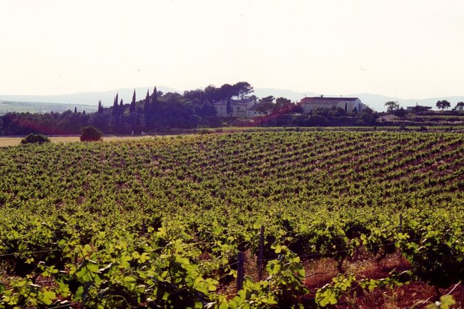 Cheese Factory Workshop with Wine Tasting in Requena, Valencia - Should you book this cheese factory and wine tasting tour?